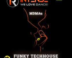 Funky Techhouse ADE mix by MDMAu